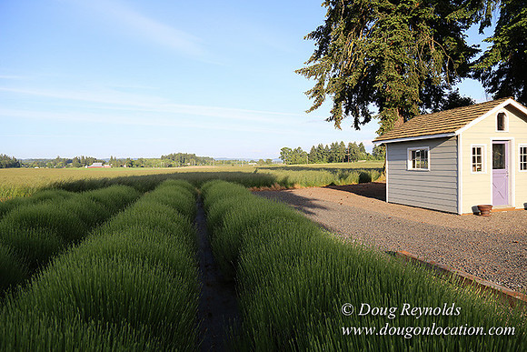 Toms Rd Side-6367