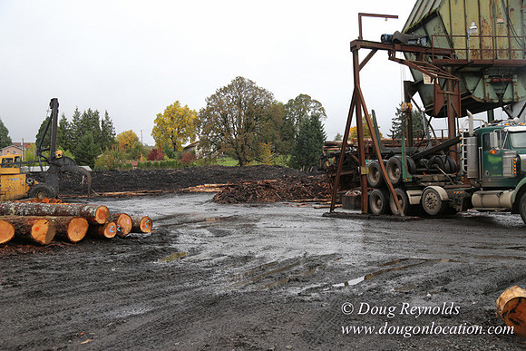 Saw Mill and Lumber Yard