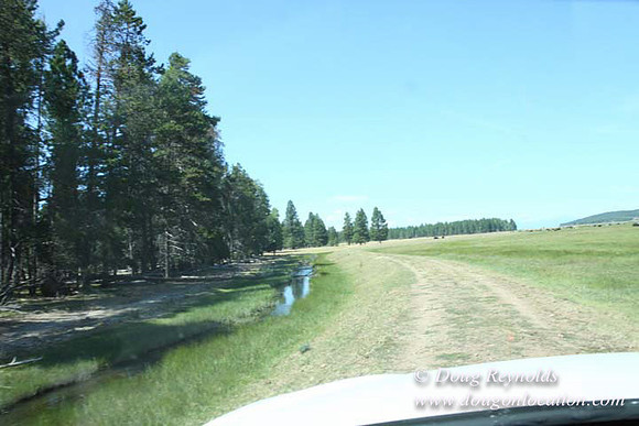 Ranch 18 South side of Hwy  has 2500 Acres of green fields Creeks water crossing Bridges on a Large Lake and miles of Dirt roads Oak trees  Forest land ATV Trails cows