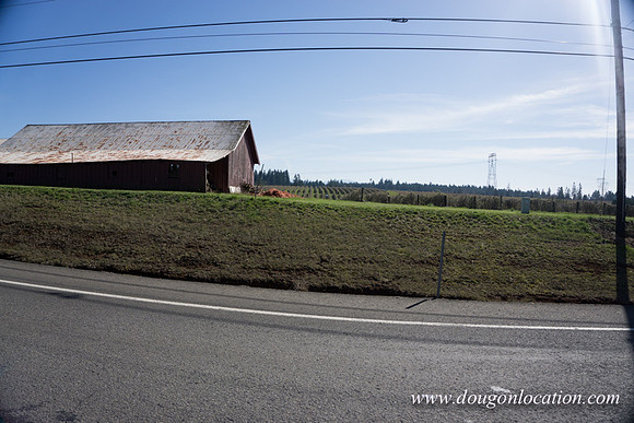 Hwy 211 Sandy-3545
