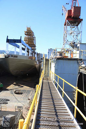 Ship Yard-0669