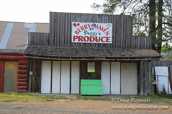 peggy's Produce-5094