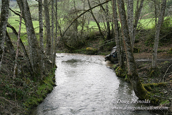 Ranch 14 has 7500 Acres of rolling green hills barns Creeks water crossing Bridges and miles of Dirt roads Oak trees Cabins Forest land