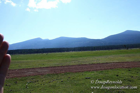 Ranch 18 South side of Hwy  has 2500 Acres of green fields Creeks water crossing Bridges on a Large Lake and miles of Dirt roads Oak trees  Forest land ATV Trails cows