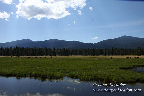Ranch 18 South side of Hwy  has 2500 Acres of green fields Creeks water crossing Bridges on a Large Lake and miles of Dirt roads Oak trees  Forest land ATV Trails cows