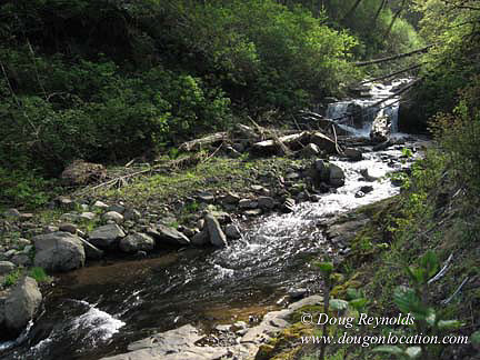 Cedar Camp Falls Bridge
