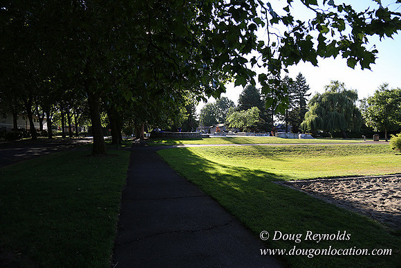 Lincoln Park-0554