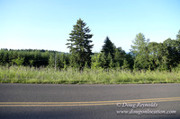 Oak Ridge Rd 2-7128