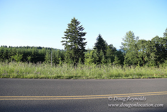 Oak Ridge Rd 2-7128