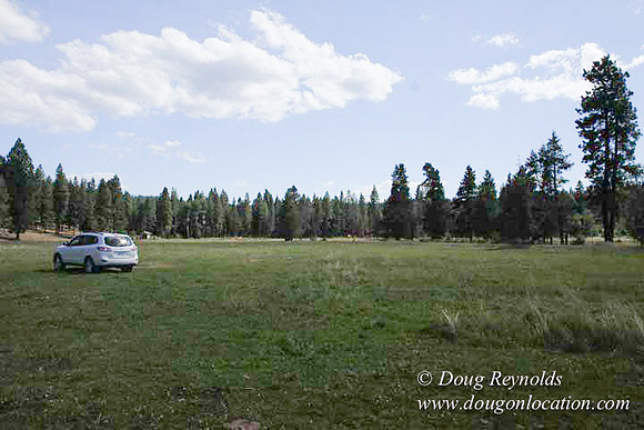 Ranch 18 South side of Hwy  has 2500 Acres of green fields Creeks water crossing Bridges on a Large Lake and miles of Dirt roads Oak trees  Forest land ATV Trails cows