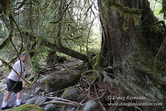Brians River Side-0021