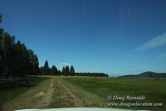 Ranch 18 South side of Hwy  has 2500 Acres of green fields Creeks water crossing Bridges on a Large Lake and miles of Dirt roads Oak trees  Forest land ATV Trails cows