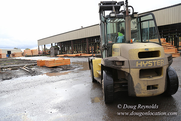 Saw Mill and Lumber Yard