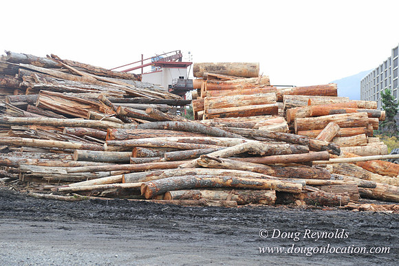 SDS Lumber-1358