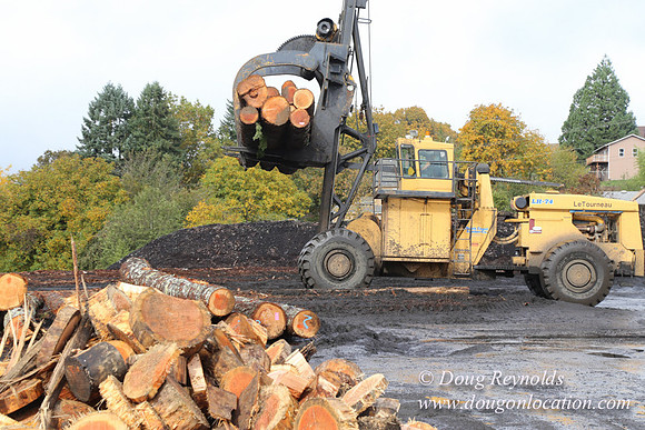 Saw Mill and Lumber Yard