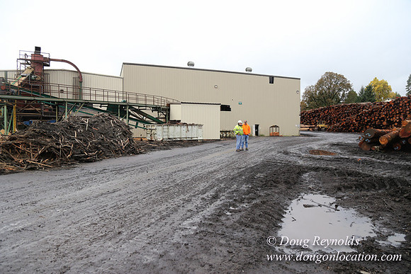 Saw Mill and Lumber Yard