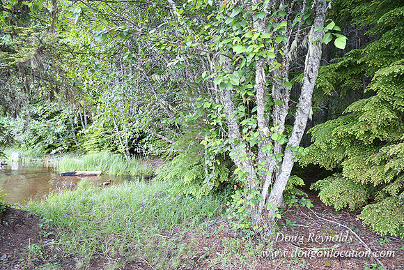 timathy Northwest Side 2-4553