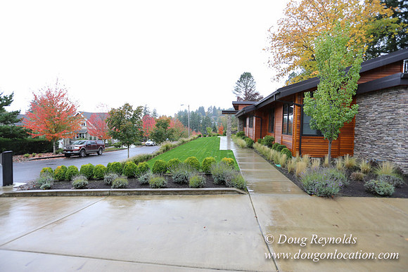 Kathy's House-0414