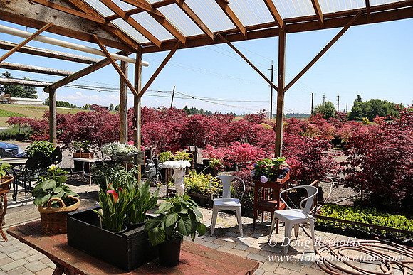 Little Door Farm Market-5410