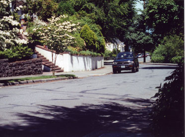 Randum Portland