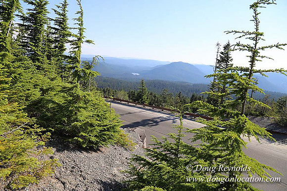 Timberline Rd View South-7020