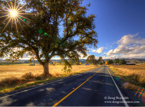 Dyke Rd