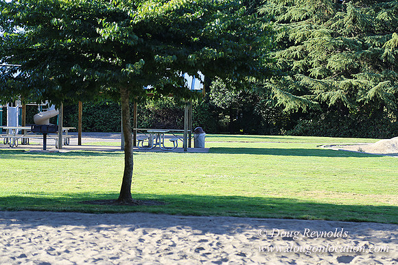 Lincoln Park-0553