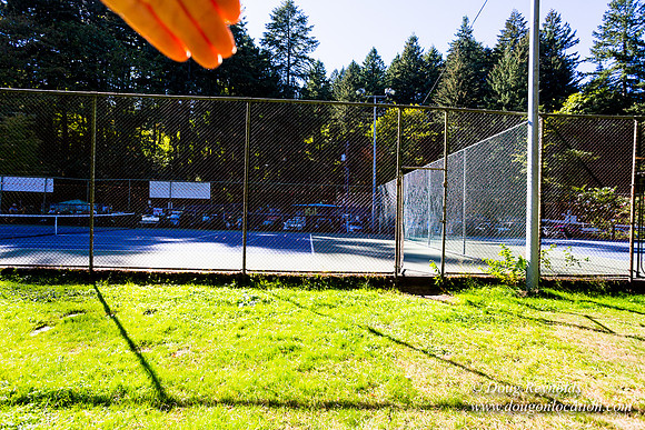 Washington Park Tennis Courts