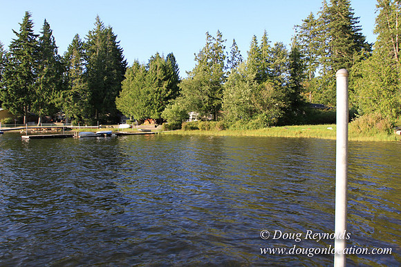 Boat, Cabin, Dock, Home, "House lake", WA, Washington, Yard, deck, "green. Beach" Vacation