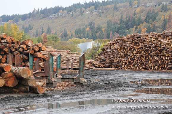 SDS Lumber-1371