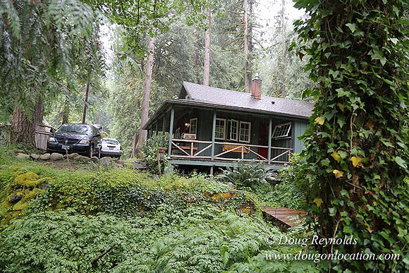 Small, Cabin, Home, River, OR, Oregon, Green, Yard,
