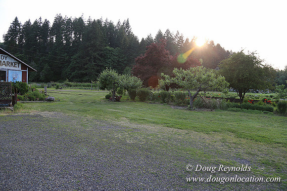 Jim Dandy Farm-5065