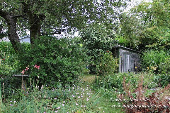 Laura’s Home This is a Portland Bungalow Style small home with a average sized and interesting back yard, nice garden with bee hive’s