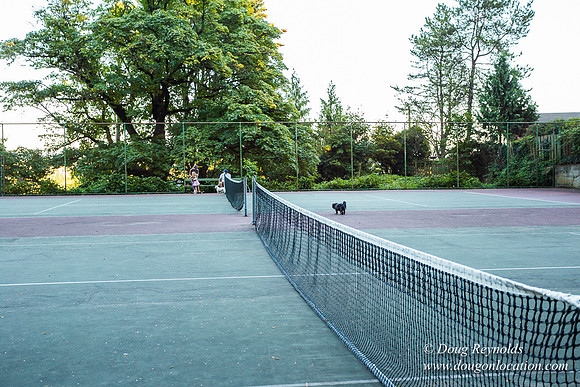 Mt Tabor Tennis Courts