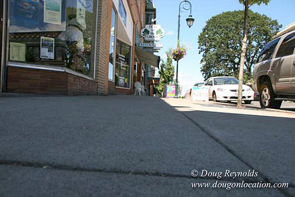 Forest Grove-5464
