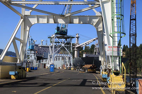 Ship Yard