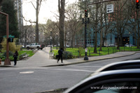 Chapman Square-0436
