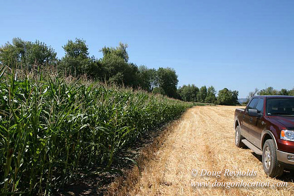 Farm 4 has Barns Shops they grow Wheat and Corn.  in the Portland Zone