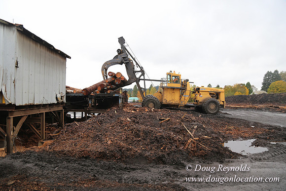 Saw Mill and Lumber Yard
