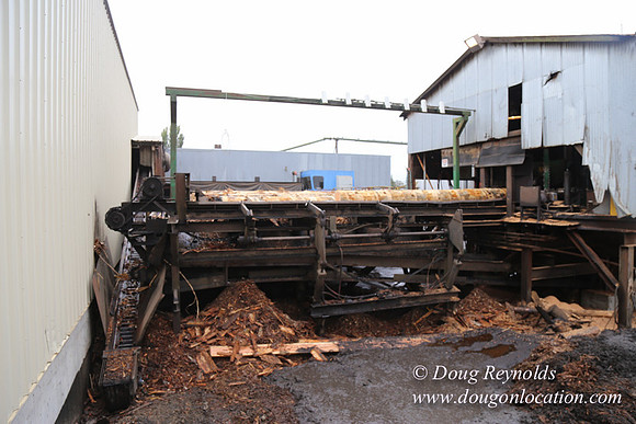 Saw Mill and Lumber Yard