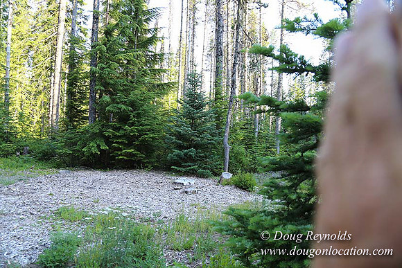 Wayen's Cabin, Home, Creek, Mountain, MT, Oregon, OR, "Fire Pit"