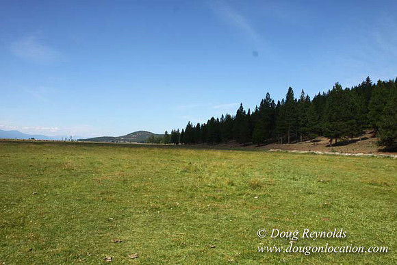 Ranch 18 South side of Hwy  has 2500 Acres of green fields Creeks water crossing Bridges on a Large Lake and miles of Dirt roads Oak trees  Forest land ATV Trails cows