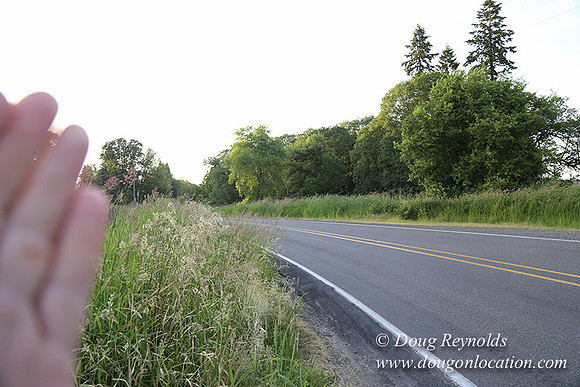 Mountaindale Rd-6433