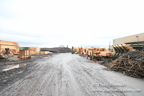 Saw Mill and Lumber Yard