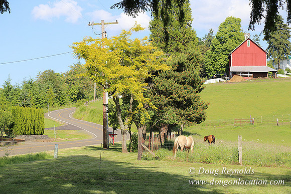 Helvetia rd at Mikes-5966