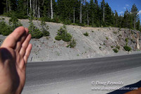 Timberline Rd View South-6992