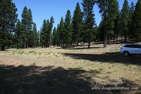 Ranch 18 South side of Hwy  has 2500 Acres of green fields Creeks water crossing Bridges on a Large Lake and miles of Dirt roads Oak trees  Forest land ATV Trails cows