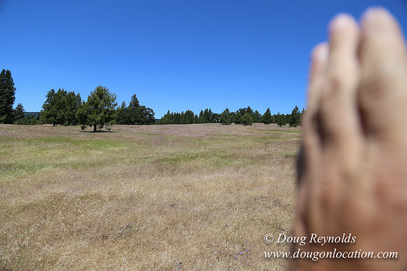 Brothers Ranch-8454