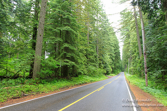 Larch Mt Rd