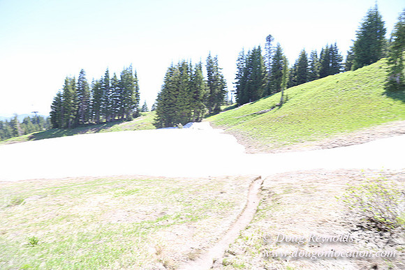 Medow's Snow-5789